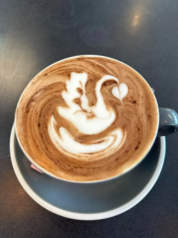 Mocha with a swan drawn in the milk