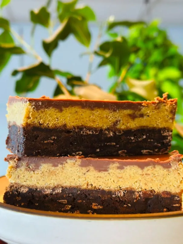 Chocolate peanut butter brownie slice